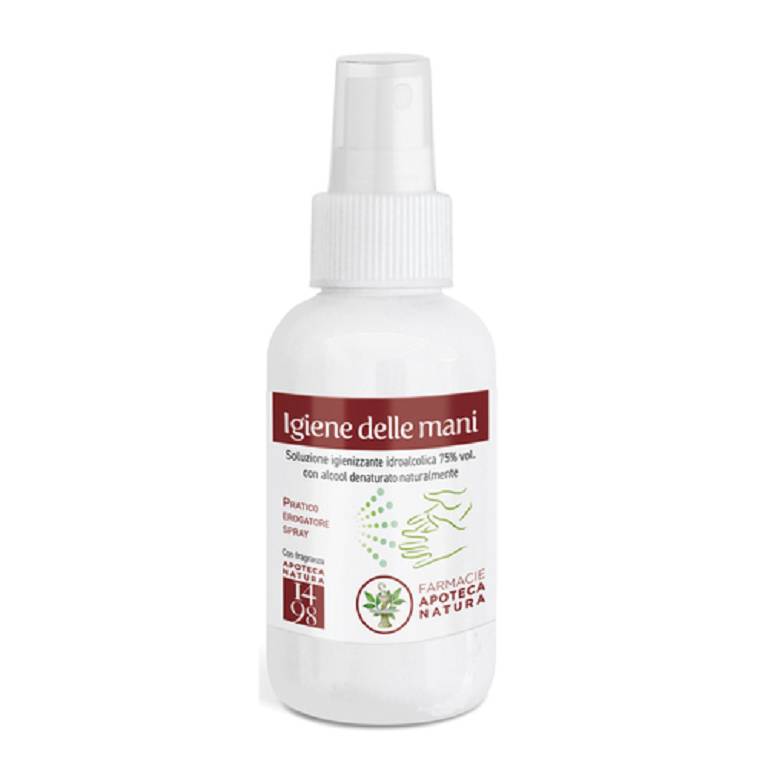 IGIENE DELLE MANI SOLUZIONE SPRAY 100 ML